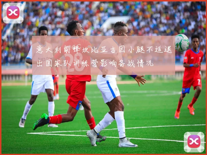 意大利前锋坎比亚吉因小腿不适退出国家队训练营影响备战情况