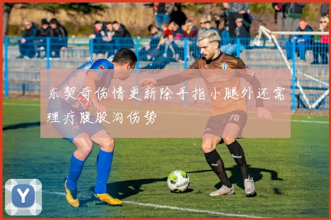 东契奇伤情更新除手指小腿外还需理疗腹股沟伤势