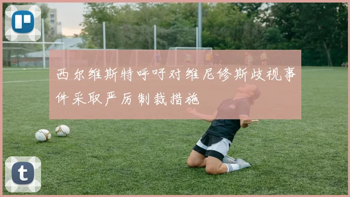西尔维斯特呼吁对维尼修斯歧视事件采取严厉制裁措施