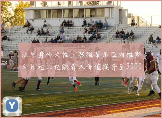 法甲身价大幅上涨维蒂尼亚内维斯合计达11亿欧青木价值提升至5000万