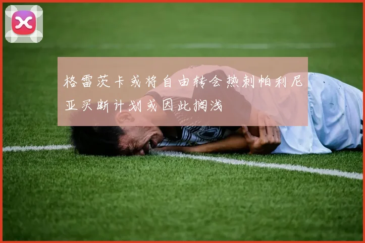 格雷茨卡或将自由转会热刺帕利尼亚买断计划或因此搁浅