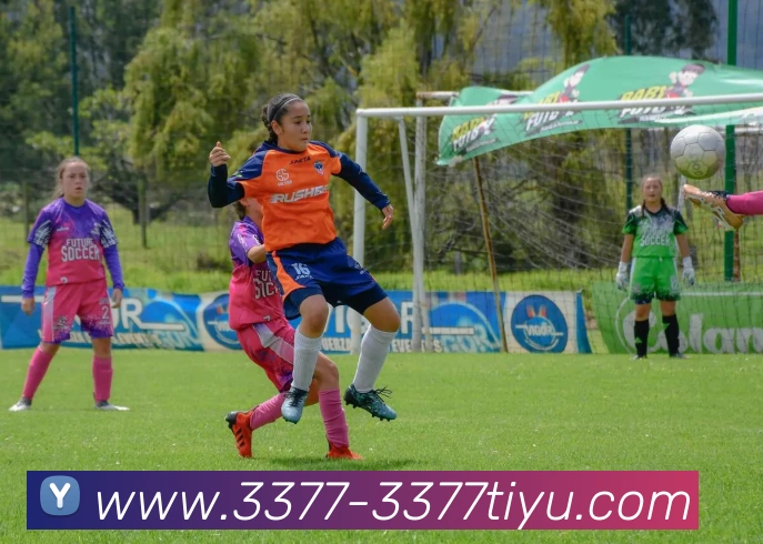 3377体育APP 高清赛事图